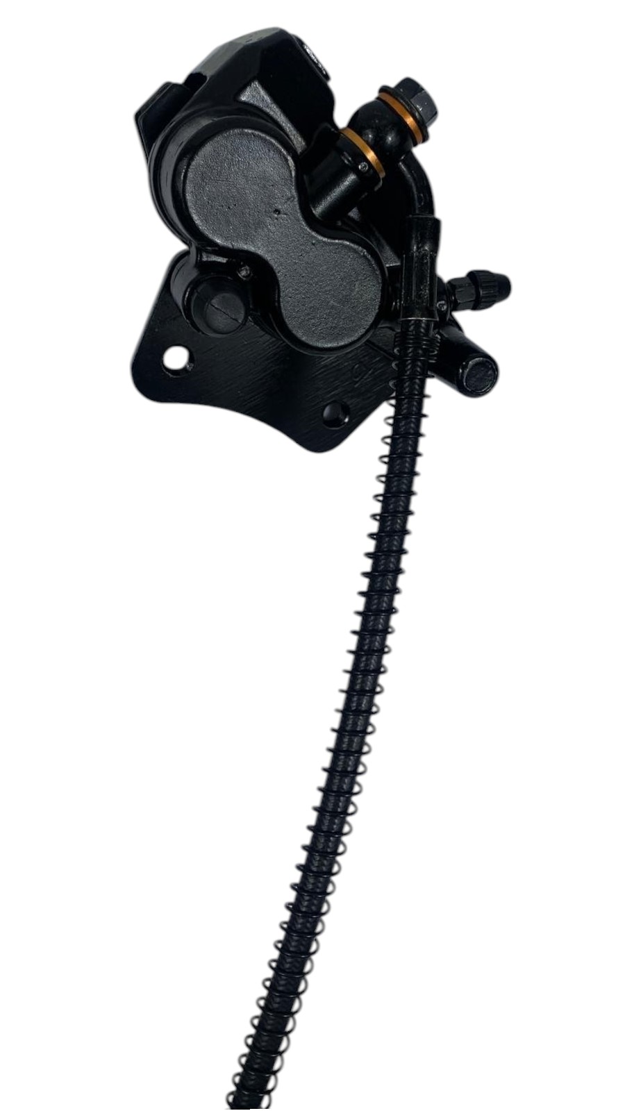 Bomba travao traseira completa - Neovolt (We-Ride)