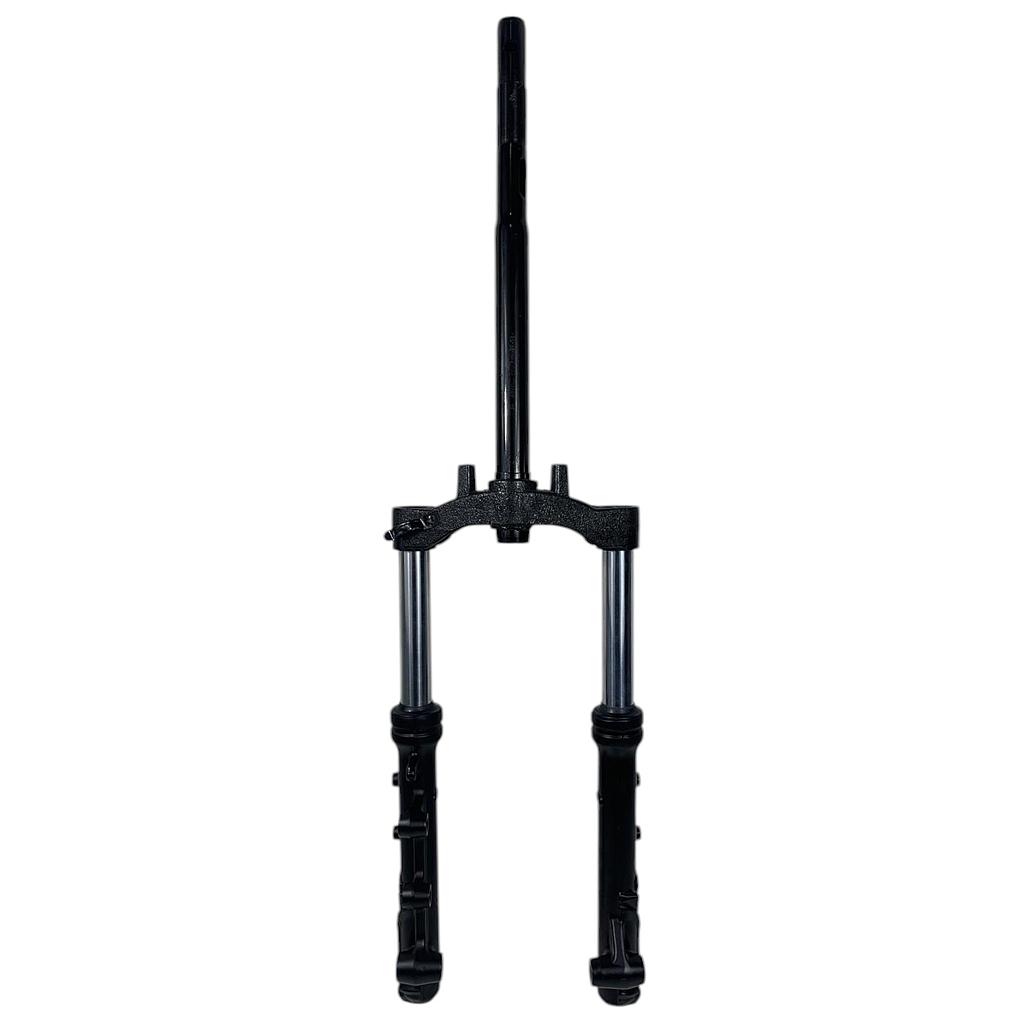 Suspensoes e T direçao (completo) - Neovolt (We-Ride)