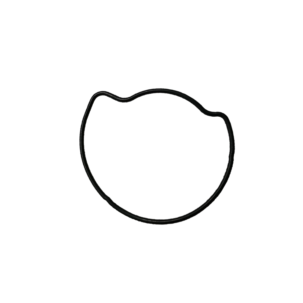 O-ring da bomba de agua, 158MI-P