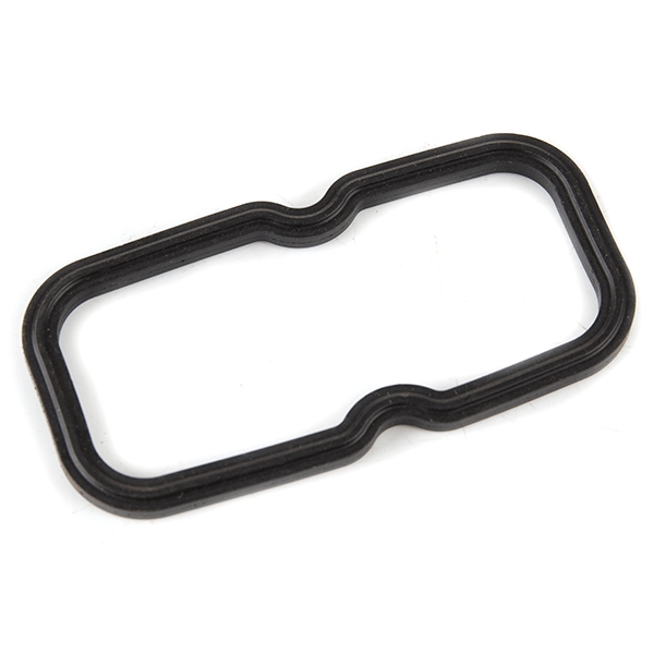 Vedante / Junta da Bomba de Gasolina - Bluroc/Bullit (HUNT/SPIRIT/HERO)