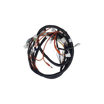 Cablagem principal - Neovolt (We-Ride)